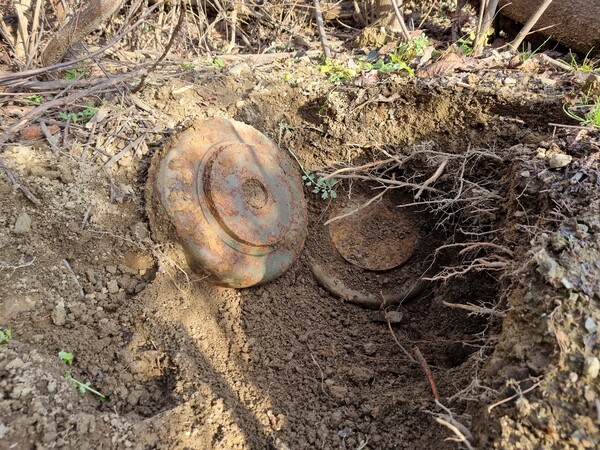 해마루촌 주변 지뢰무덤에서 노출된 대전차지뢰2발